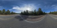 a large empty road and a few trees in the background taken from a fisheye lens