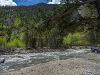 a forest is seen in this wide angle view in this photo from the bottom of the trail