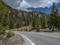 a curve road through a forest with a mountain range in the distance in the background