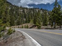 a curve road through a forest with a mountain range in the distance in the background