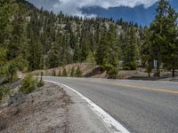 a curve road through a forest with a mountain range in the distance in the background