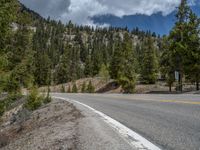 a curve road through a forest with a mountain range in the distance in the background