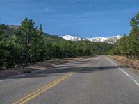 an empty road with lots of trees in the background in the wild region of colorado