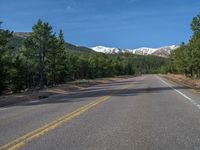 an empty road with lots of trees in the background in the wild region of colorado