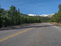 an empty road with lots of trees in the background in the wild region of colorado