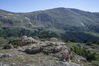 the rocks and green trees are next to the hill, on top of a mountain