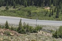 Colorado Landscape Scenic Drive Nature