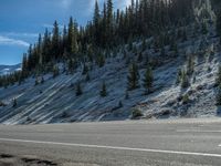 a motorcycle is stopped on a snowy mountain road with trees lining the side of it