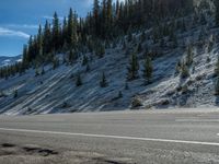 Colorado Landscape: Snowy Mountains and Dense Forests