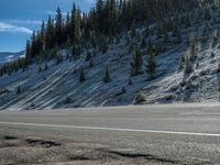 Colorado Landscape: Snowy Mountains and Dense Forests