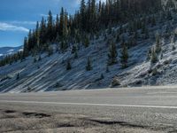 Colorado Landscape: Snowy Mountains and Dense Forests