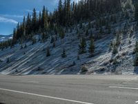 Colorado Landscape: Snowy Mountains and Dense Forests