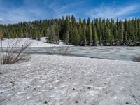 Snowy Road and Lake in Colorado Landscape