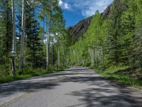 a scenic, winding road on the edge of a mountain range surrounded by tall trees