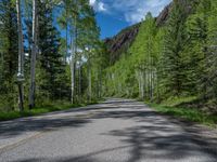 a scenic, winding road on the edge of a mountain range surrounded by tall trees