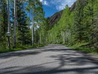 a scenic, winding road on the edge of a mountain range surrounded by tall trees