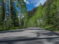 a scenic, winding road on the edge of a mountain range surrounded by tall trees