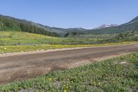 a dirt road in a valley covered with tall pine trees and wildflowers with mountains in the distance