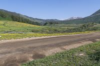 a dirt road in a valley covered with tall pine trees and wildflowers with mountains in the distance