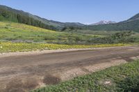 a dirt road in a valley covered with tall pine trees and wildflowers with mountains in the distance