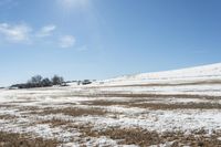 Colorado Landscape: Winter Mountain View