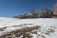 Colorado Landscape: Winter Mountain View
