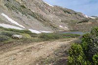 Colorado's Loveland Pass: Highland Vegetation and Tree-Lined Tracks