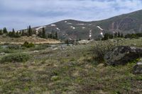 some snow and rocks in the middle of a meadow with mountains in the background and two water buffalos