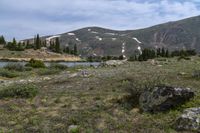 some snow and rocks in the middle of a meadow with mountains in the background and two water buffalos