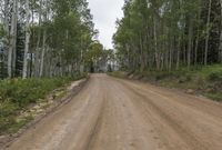 Colorado Low Traffic Road: Dirt vs Asphalt