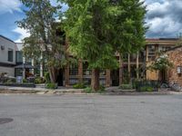 street corner with tree on the corner of the corner and a building behind it that is surrounded by multiple windows and a perforated brown lattice