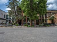 street corner with tree on the corner of the corner and a building behind it that is surrounded by multiple windows and a perforated brown lattice