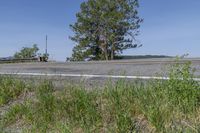 an asphalt road with grass and weeds by the side of the road and a fence in the distance