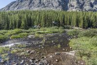 Colorado Mountain Drive: Scenic Dirt Road 001