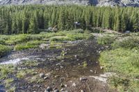 Colorado Mountain Drive on Scenic Dirt Road