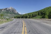 Colorado Mountain Forest Grass Road 001