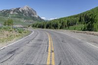 Colorado Mountain Forest Grass Road 002