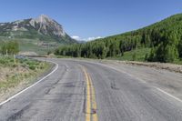 Colorado Mountain Forest Grass Road 003