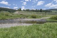 Colorado Mountain Forest Wilderness