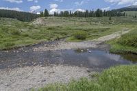 Colorado Mountain Forest Wilderness 002