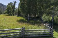 Colorado Mountain Grass Field in Open Space