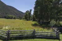 Colorado Mountain Grass Field in Open Space