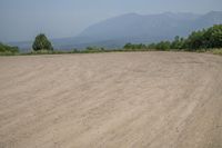 Colorado Mountain Grass Plain Vegetation 001