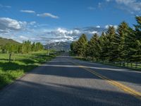 a empty road that goes through a grassy area with mountains in the background as well as trees