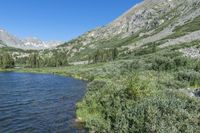 a small lake in the middle of a forested mountain area with some rocks and vegetation