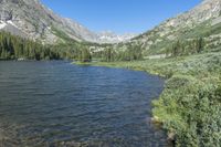 a small lake in the middle of a forested mountain area with some rocks and vegetation