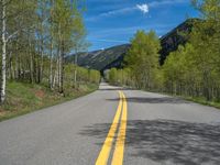 a yellow and black sign is on the street near some mountains and trees in the distance