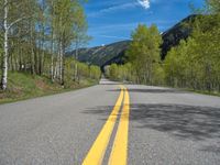 a yellow and black sign is on the street near some mountains and trees in the distance