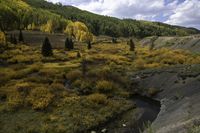 a stream runs through a hilly area of yellow plants and trees below them, under a cloudy sky