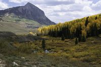 a large field in the middle of a mountain surrounded by trees and rocks along side of a road